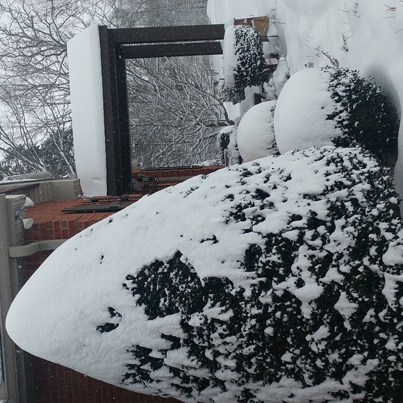 Tennessee Snow ❄️ 1/6/2022 - Picture 5 of 7